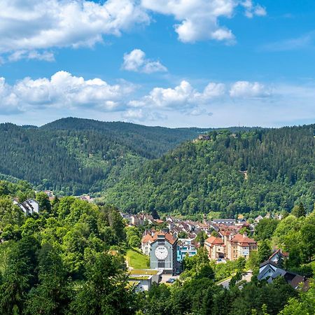 Ferienwohnungen Schwabenhof Schramberg Dış mekan fotoğraf