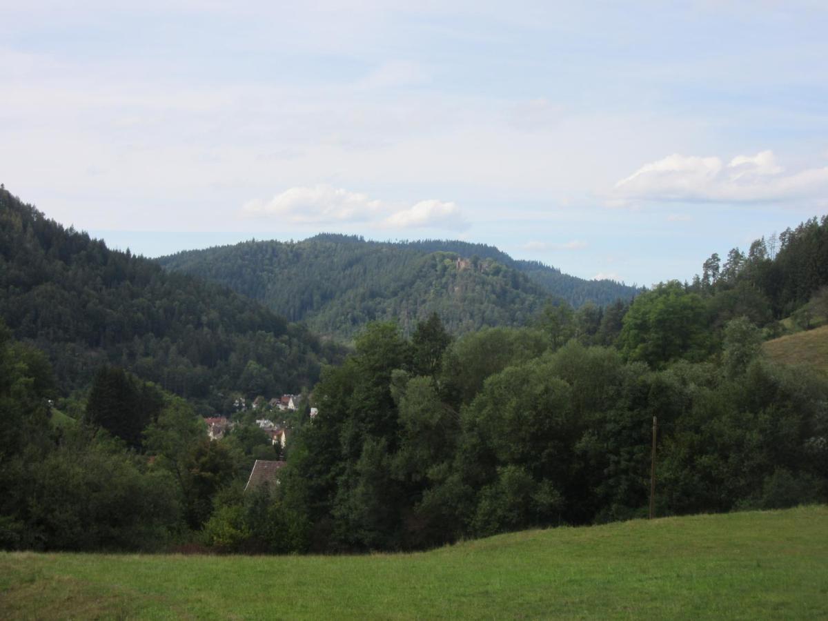 Ferienwohnungen Schwabenhof Schramberg Dış mekan fotoğraf