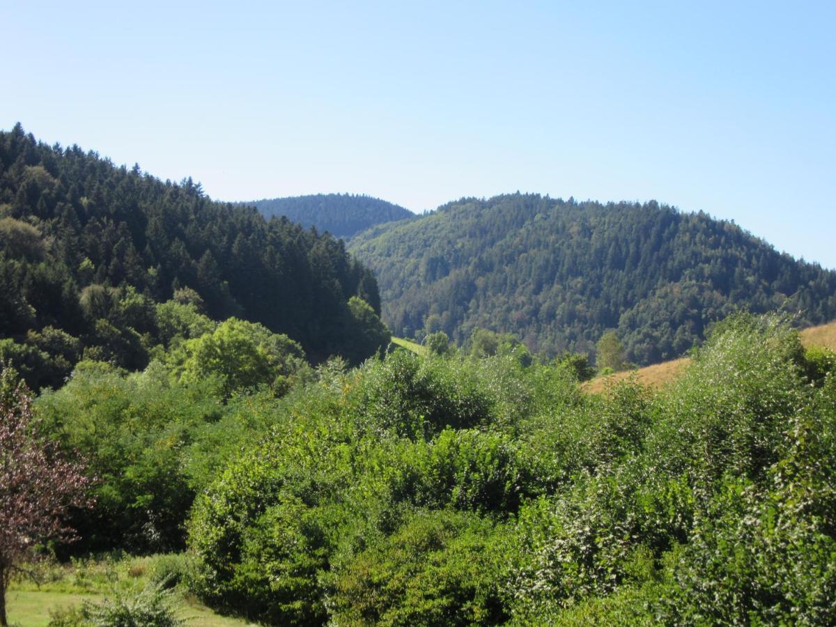 Ferienwohnungen Schwabenhof Schramberg Dış mekan fotoğraf