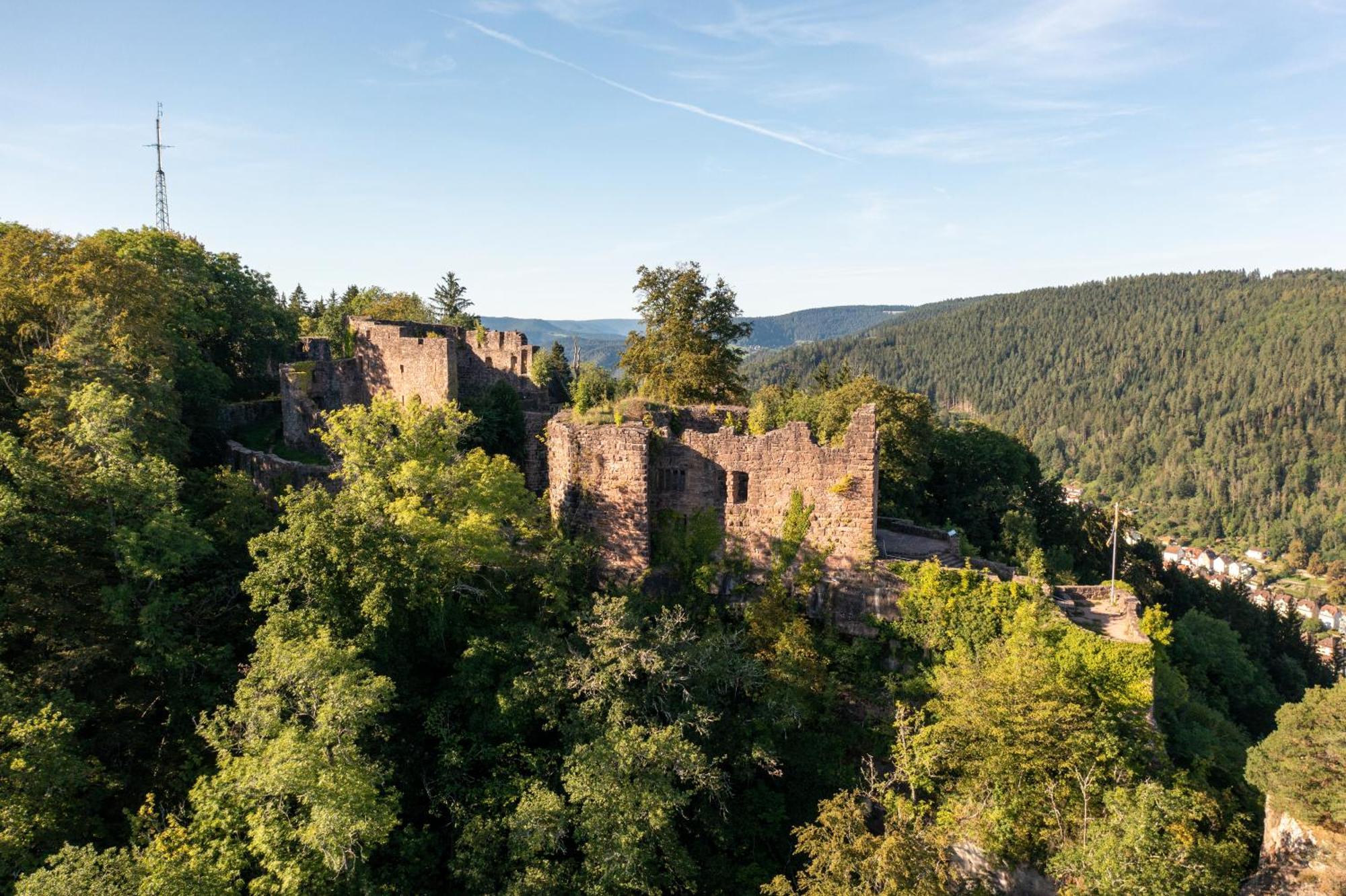 Ferienwohnungen Schwabenhof Schramberg Dış mekan fotoğraf
