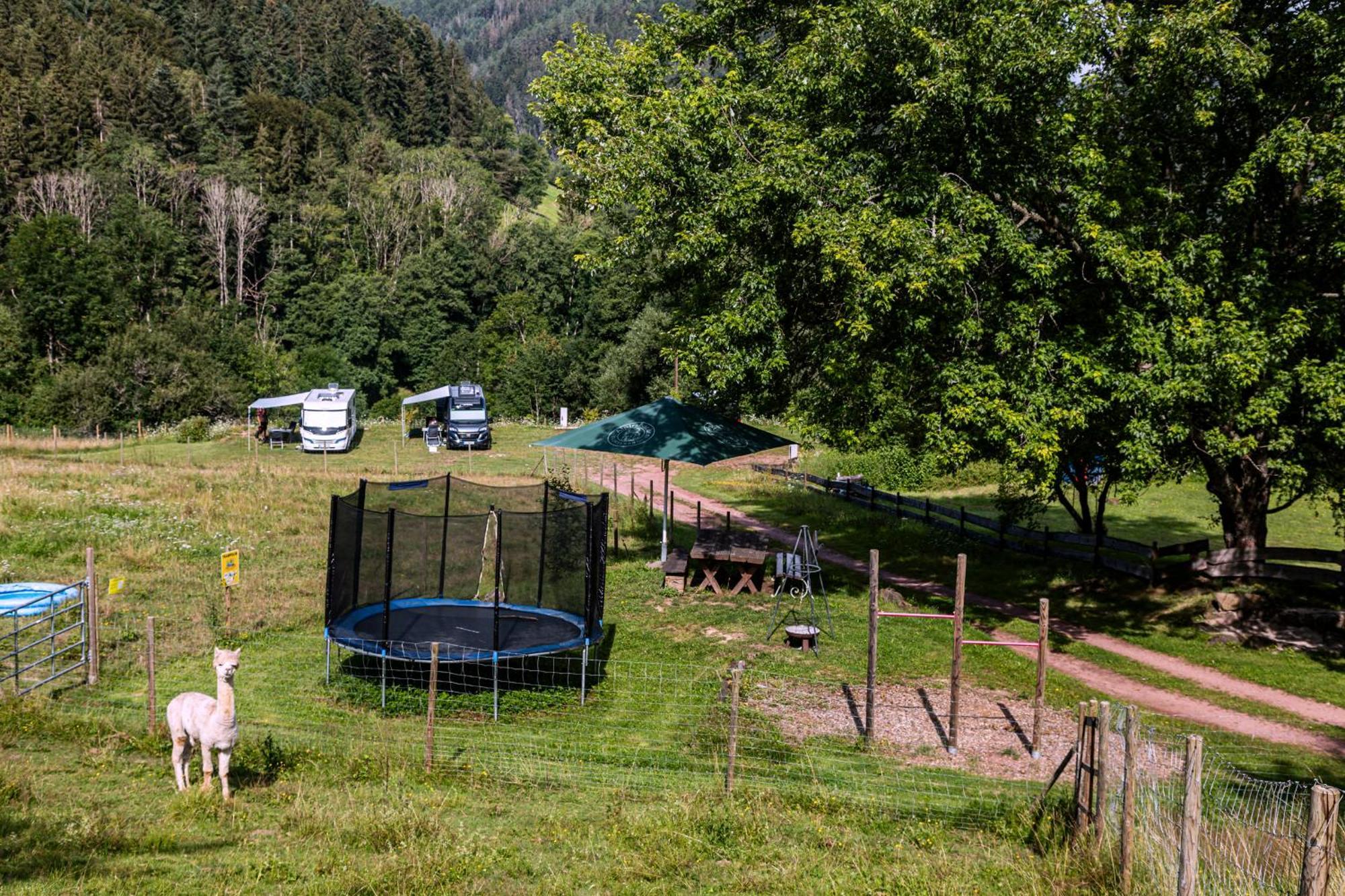 Ferienwohnungen Schwabenhof Schramberg Dış mekan fotoğraf
